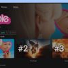 NexTv v3.0.17 VOD Only NexFlix Theme - Working QR login and Unlimited DNS - Image 8