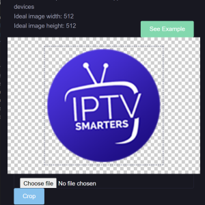 [SELF-CUSTOMISABLE] Smarters V4 - SBP Panelled with unlimited DNS