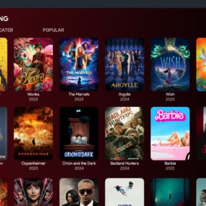 FLIX VISION v2.6.3 - Integrated Player - Premiumize from panel
