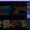 [SELF-CUSTOMISABLE] New Smarters Pro 1.9 FULL - Unlimited DNS/Announcements/TMDB - Image 6