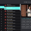 Smarters 4.0.5 - SBP Panelled with unlimited DNS - Image 5
