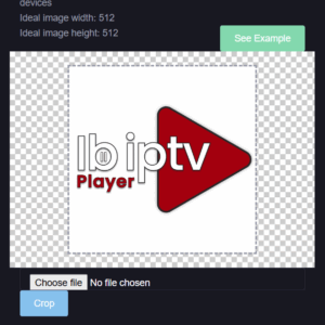 [SELF-BUILD] IBO Smarter Player with TMDB integration