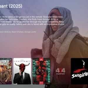 IBO Smarter Player with TMDB integration
