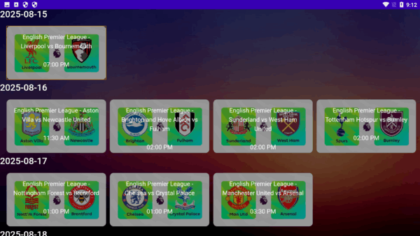 IBO Smarter Player with TMDB integration - Image 10